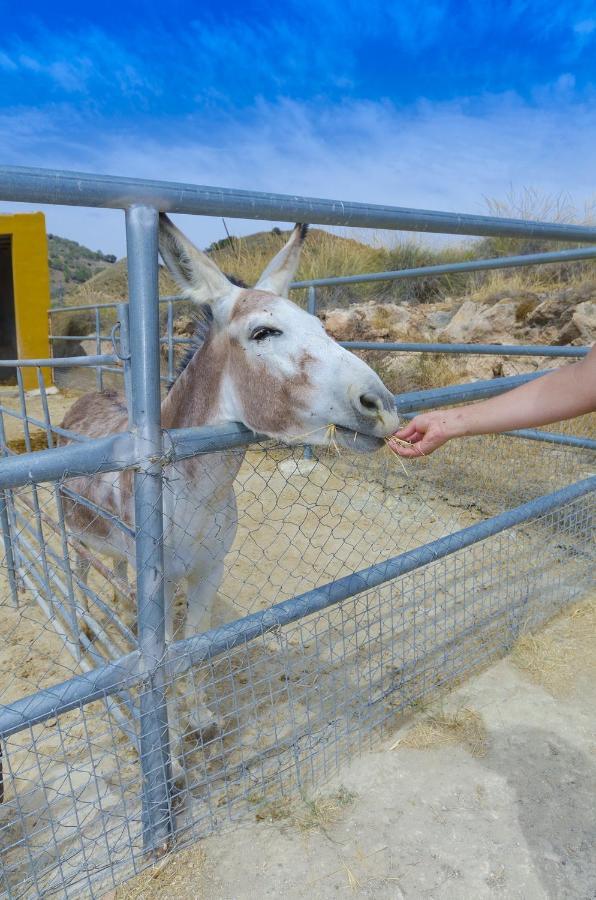 منزل الضيف Fuente Alamo   في Finca Liarte المظهر الخارجي الصورة