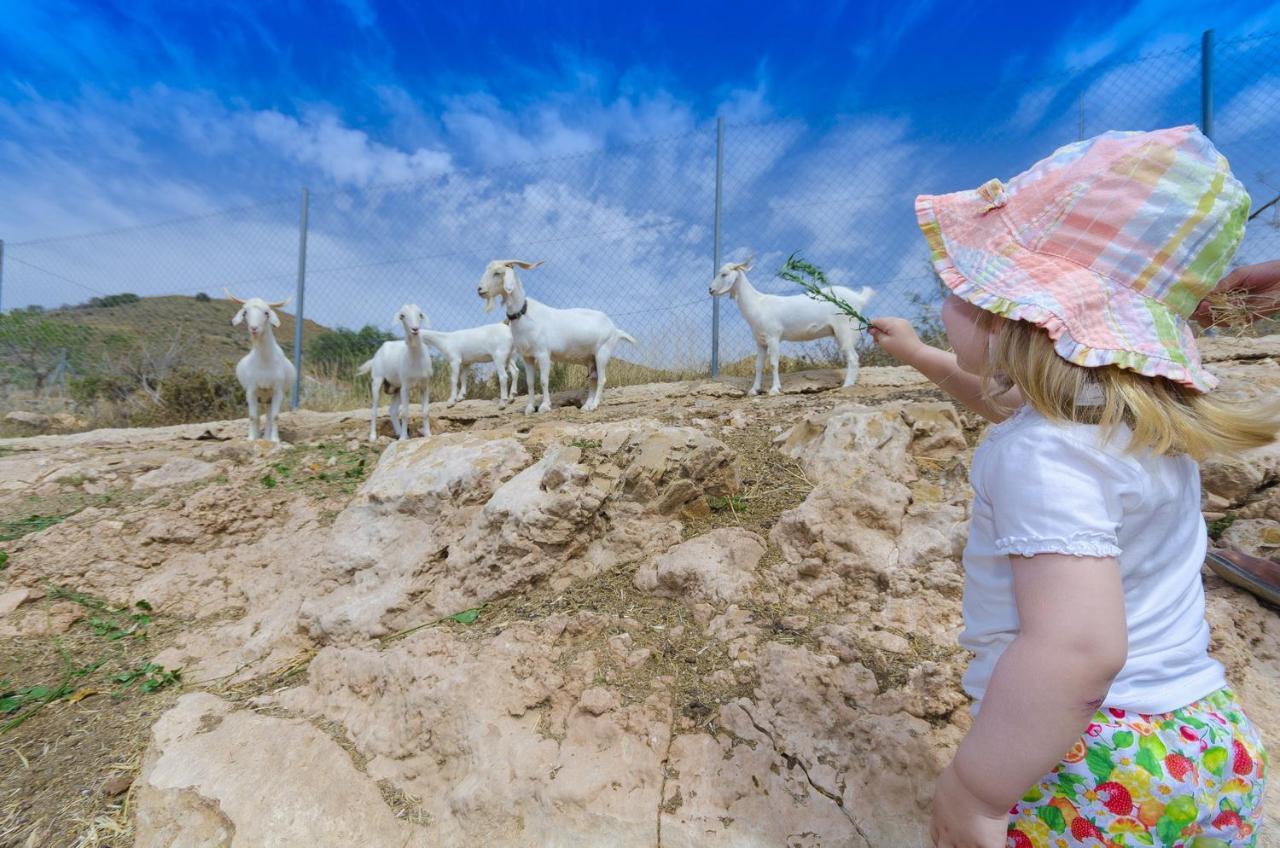 منزل الضيف Fuente Alamo   في Finca Liarte المظهر الخارجي الصورة